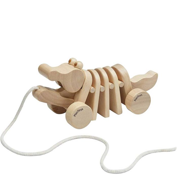 Alligatore da Tirare main product photo