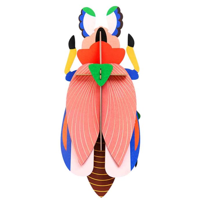 Coleottero di Carta main product photo