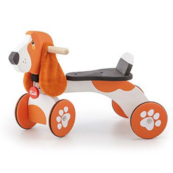 Primi Passi Cane Bracco main product photo