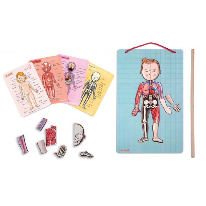 Corpo Umano Magnetico main product photo