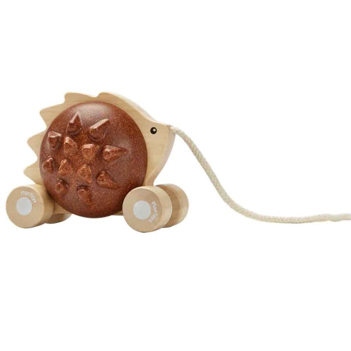 Riccio Marrone da Tirare main product photo