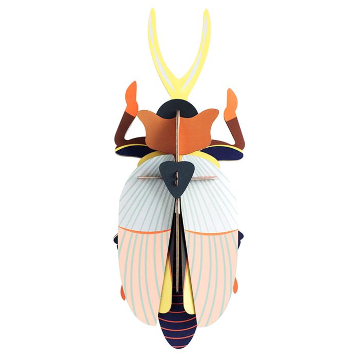 Scarabeo Rinoceronte di Carta main product photo