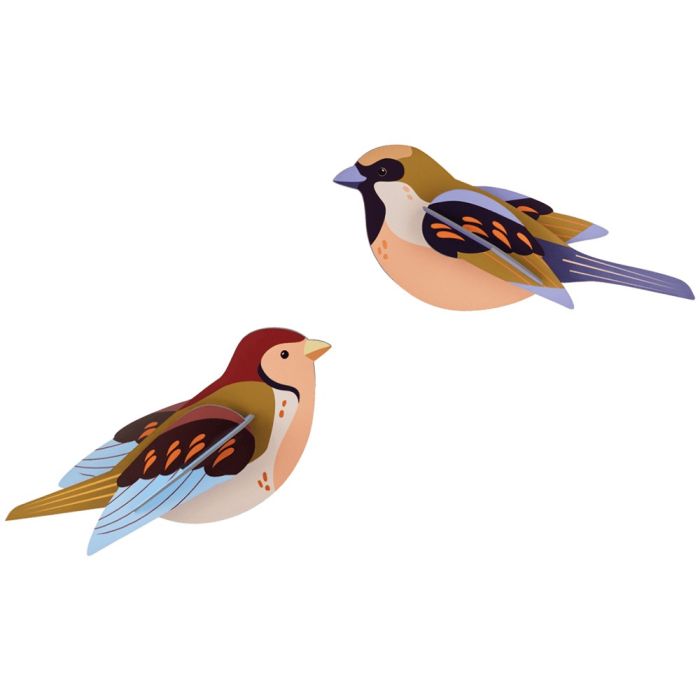 Uccelli di Carta - Passeri main product photo