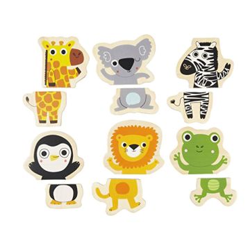 Gioco Magnetico Animali Esotici