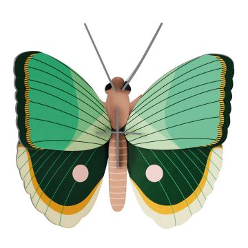 Farfalla di Carta - Felce di Studio Roof