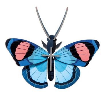 Farfalla di Carta - Pavone di Studio Roof