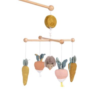 Giostrina Musicale Riccio