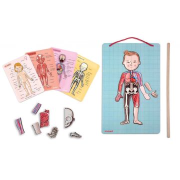 Puzzle Magnetico Il Corpo Umano