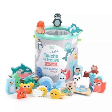 Tocca e Trova Islanda