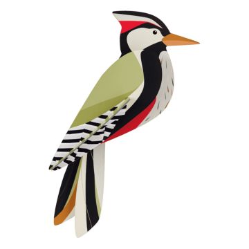 uccelli di carta - Picchio