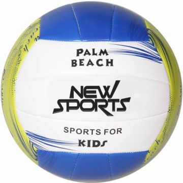 Pallone da Pallavolo e Beach Volley