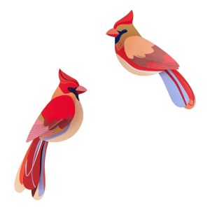 Coppia di uccellini cardinali 3D Studio Roof assemblati, decorazione murale in cartone riciclato dai colori vivaci - Bindi Giochi