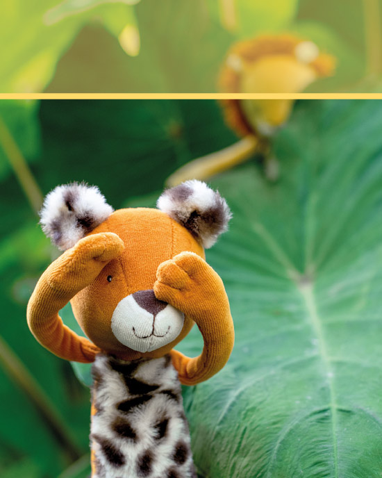 La jungla di Mawa novit&agrave; Moulin Roty